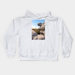 Rock Formation, Dolly Sods, West Virginia Kids Hoodie